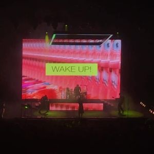 Meet your Posher, Lily